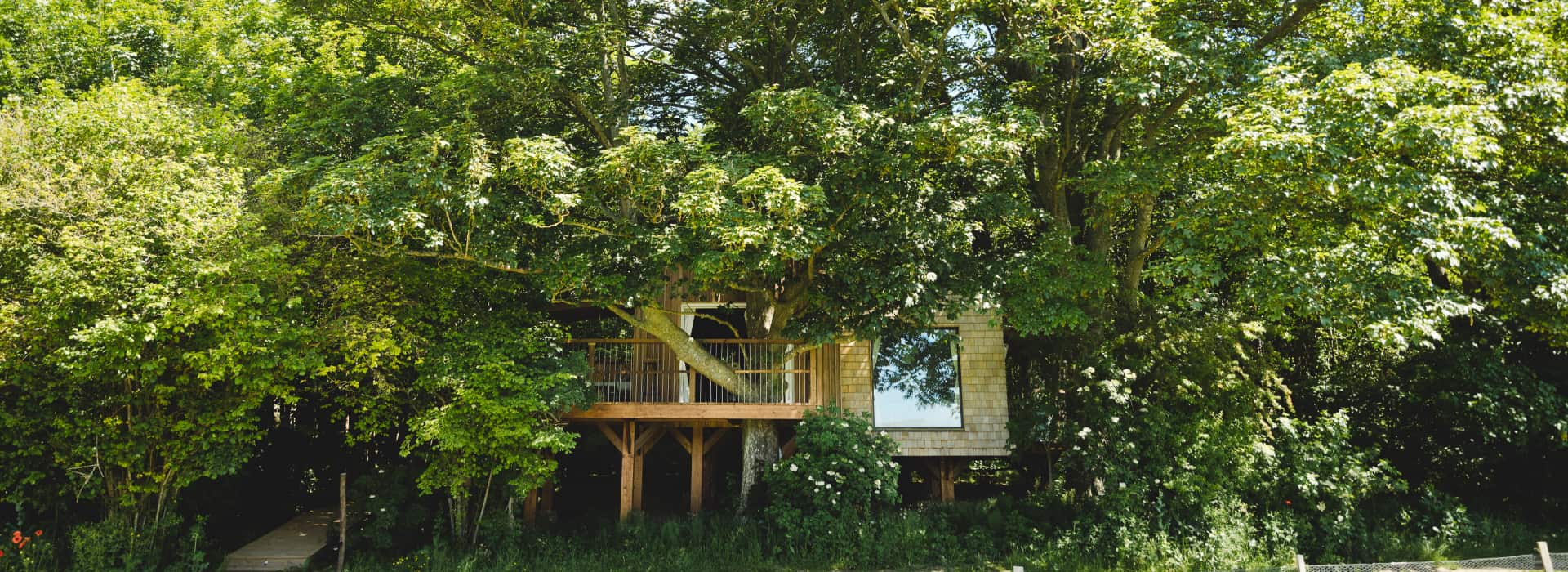 The Fallow Treehouse