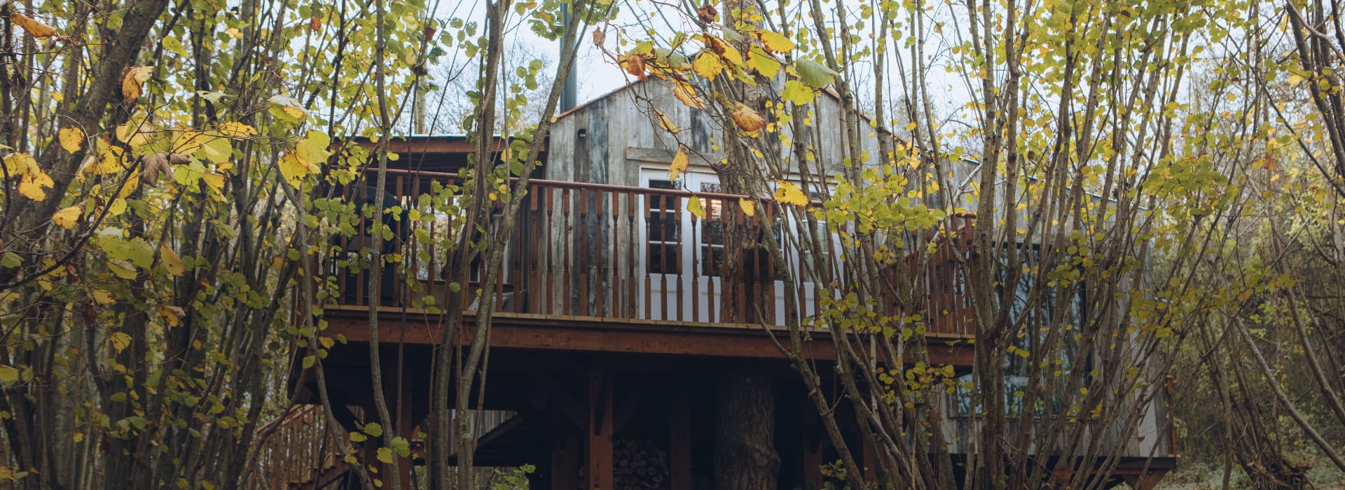 The Poppy Treehouse