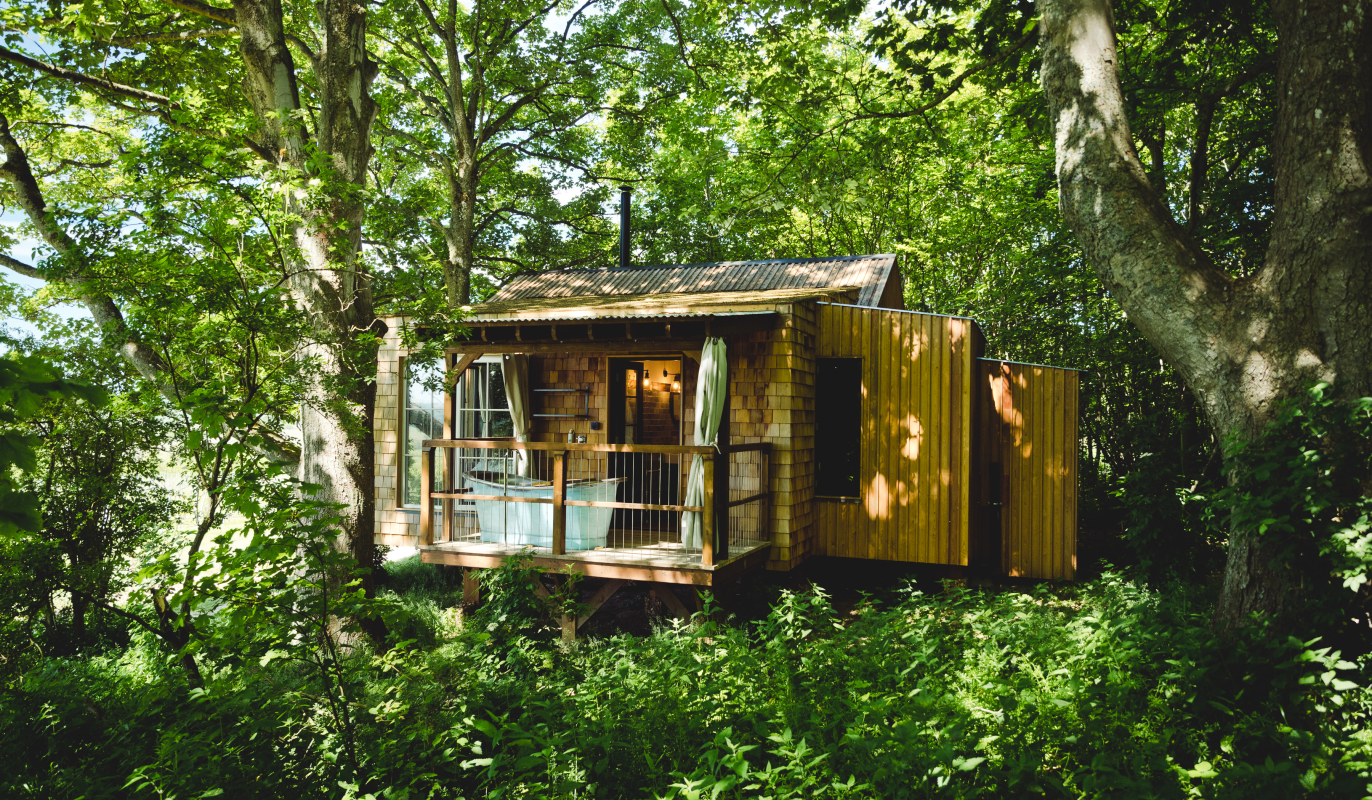 The Fallow Treehouse